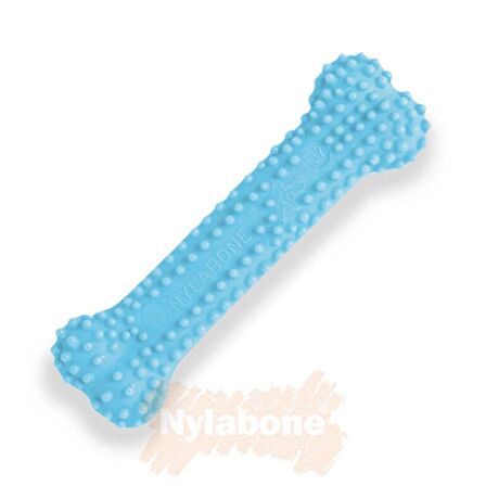 Nylabone Dental Blue Tavuk Aromalı Yavru Köpek Çiğneme Çubuğu XS