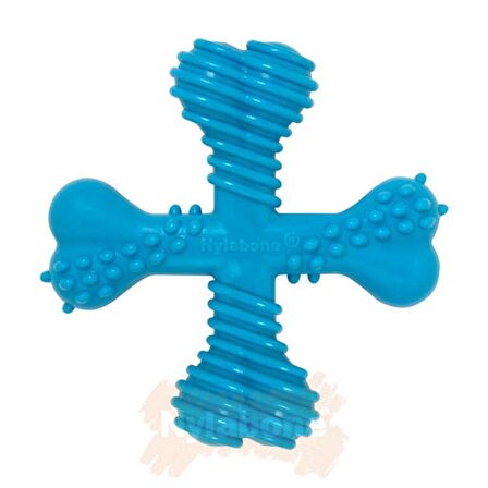 Nylabone Ec x Biftek Aromalı Köpek Çiğneme Kemiği L