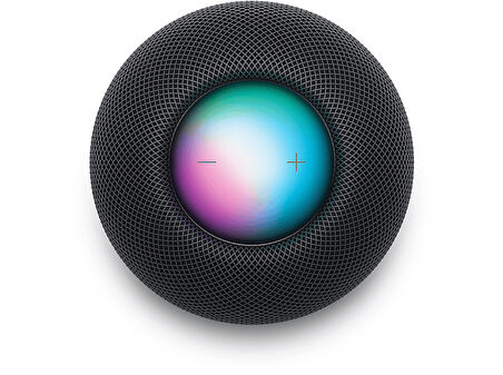 APPLE MY5G2D/A HomePod Mini Uzay Grisi