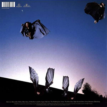 Kate Bush - Never For Ever (Remastered) - Plak