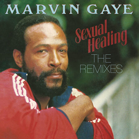 Marvin Gaye Sexual Healing: The Remixes - Plak