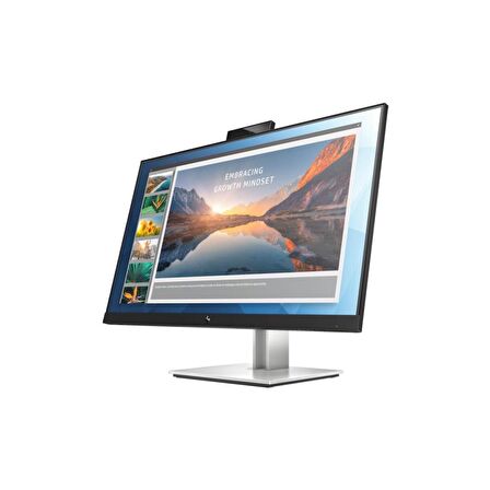 HP E24d G4 6PA50AS 23.8" 5ms Full HD Pivot IPS Monitör