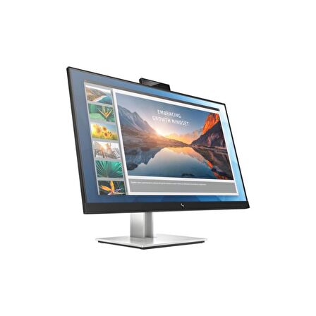 HP E24d G4 6PA50AS 23.8" 5ms Full HD Pivot IPS Monitör