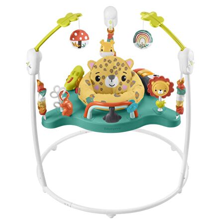 Fisher Price Sevimli Leopar Jumperoo HND47