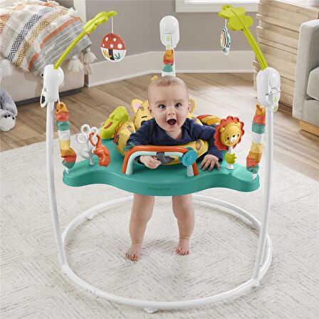 Fisher Price Sevimli Leopar Jumperoo HND47