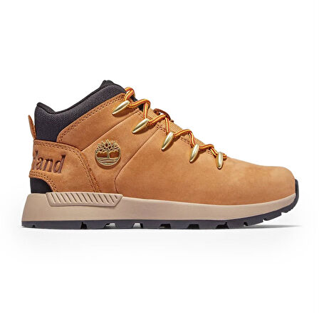 Timberland Mıd Lace Up Sneaker Kadın Günlük Ayakkabı TB0A2G8K2311 Beyaz