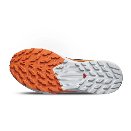 Salomon Sense Rıde 5 Gtx Erkek Outdoor Ayakkabı L47459400 Mavi