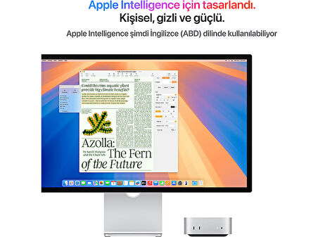 APPLE Mac mini: Apple M4 chip with 10‑core CPU and 10‑core GPU, 16GB, 256GB SSD
