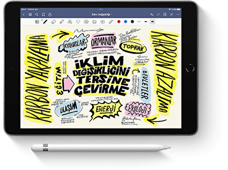 APPLE MYQW3TU/A 1.Nesil Tablet Kalemi Beyaz