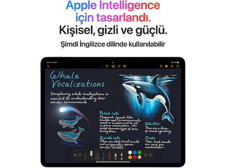 APPLE iPad Air 13 inç M3 Wi-Fi + Cellular 512 GB Tablet Uzay Grisi MCJ94TU/A