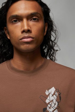 Nike Air Jordan Zion Sneaker School Mens Tee Black Grafik Baskılı Erkek Tişört Kahverengi