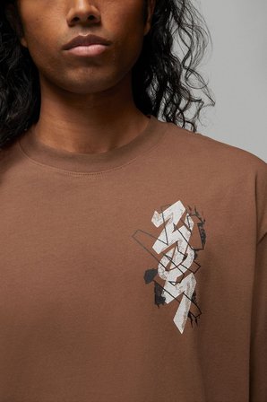 Nike Air Jordan Zion Sneaker School Mens Tee Black Grafik Baskılı Erkek Tişört Kahverengi