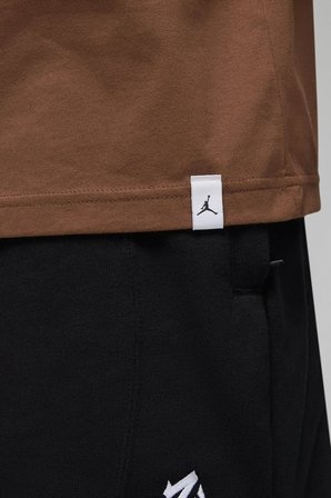 Nike Air Jordan Zion Sneaker School Mens Tee Black Grafik Baskılı Erkek Tişört Kahverengi