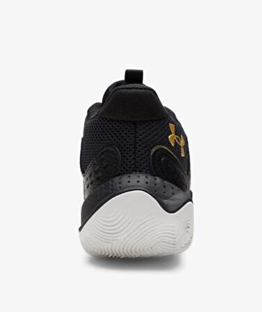 Under Armour Jet '23 Basketbol Erkek Siyah Basketbol Ayakkabısı