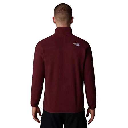 100 Glacier Erkek Kırmızı Outdoor Polar NF0A855X1OO1