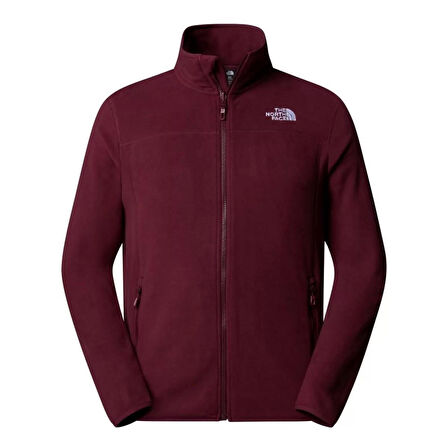 100 Glacier Erkek Kırmızı Outdoor Polar NF0A855X1OO1