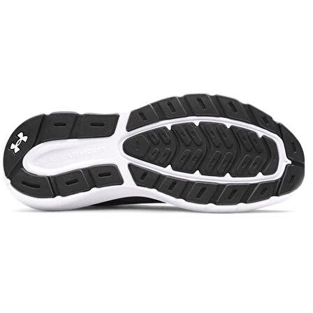 Charged Rogue 5 Erkek Siyah Koşu Ayakkabısı 3028256-001