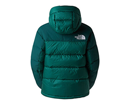 The North Face W Hmlyn Down Parka Kadın Outdoor Montu NF0A4R2WGM01 Yeşil