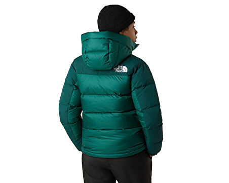 The North Face W Hmlyn Down Parka Kadın Outdoor Montu NF0A4R2WGM01 Yeşil