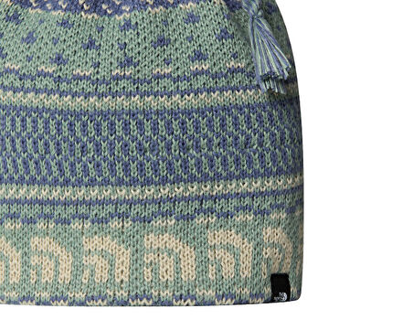 The North Face Cabin Ski Tuke Bere NF0A8CH0HHO1 Yeşil