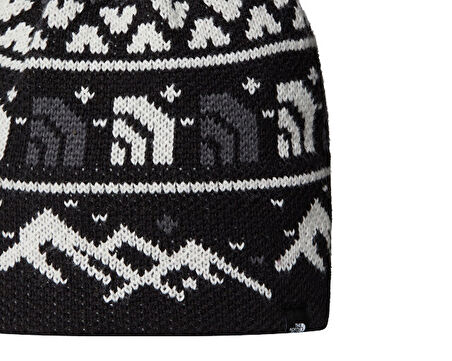 The North Face Cabin Ski Tuke Bere NF0A8CH0HNF1 Siyah