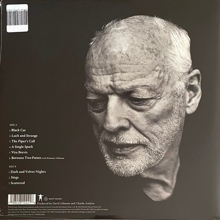 David Gilmour Luck And Strange (Black Vinyl) - Plak 