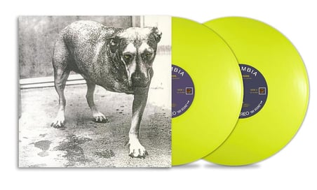 Alice In Chains - Alice In Chains (30th Anniversary) (highlighter Yellow Vinyl) - Plak