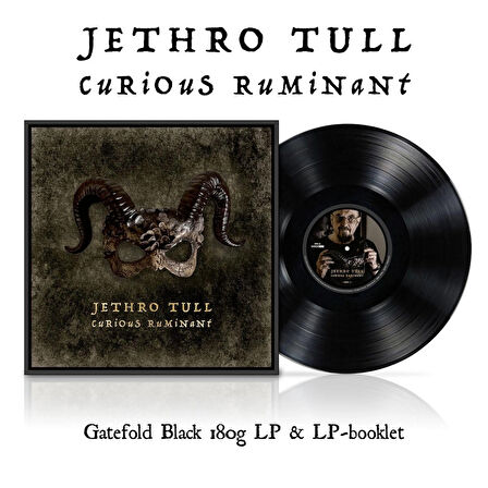 Jethro Tull - Curious Ruminant / Plak