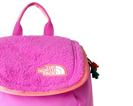 The North Face Y Mini Explorer Sırt Çantası-En: 22 cm, Boy: 29 cm, Derinlik: 14 cm NF0A52VWM9O1Mor