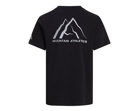 The North Face M MA GRAPHIC REGULAR SHORT SLEEVE TEE-GR Erkek Outdoor Tişörtü NF0A8GA4JK31 Siyah