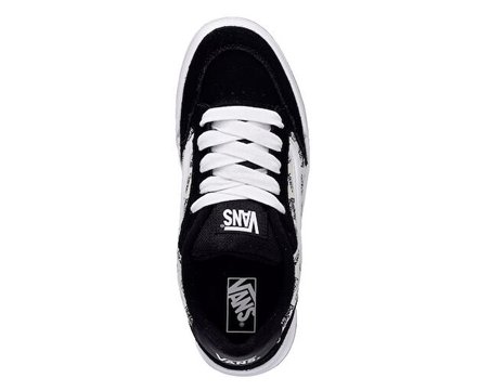 Vans Hylane Unisex Günlük Ayakkabı VN000D4P4481 Renkli