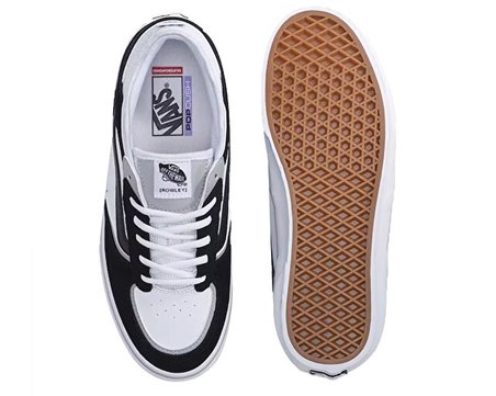 Vans Skate Rowley Unisex Günlük Ayakkabı VN000DA2BA21 Renkli