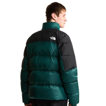 Diablo Down 2.0 Erkek Yeşil Outdoor Mont NF0A8993UY61