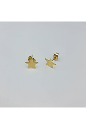 Gold Mini Yıldız Detaylı Şık Küpe