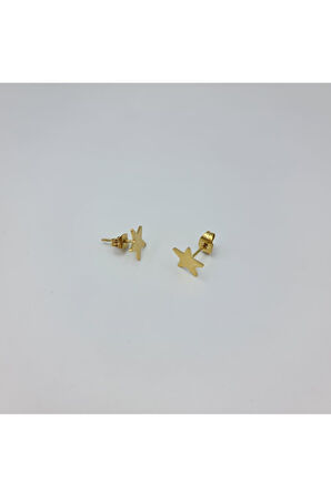 Gold Mini Yıldız Detaylı Şık Küpe