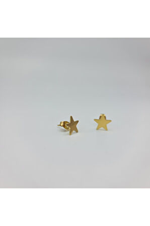 Gold Mini Yıldız Detaylı Şık Küpe