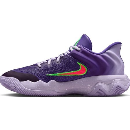 Nike Giannis Immortality 4 Mens Basketball Shoes Erkek Basketbol Ayakkabısı Mor