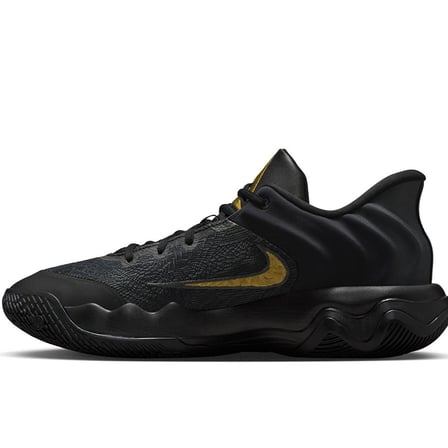 Nike Giannis Immortality 4 Mens Basketball Shoes Erkek Basketbol Ayakkabısı Siyah