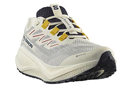 Salomon Aero Blaze 3 Grvl Gore-Tex Erkek Outdoor Koşu Ayakkabısı L47953200 Beyaz