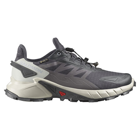 Supercross 4 Gore-Tex Kadın Gri Outdoor Ayakkabı L47976100