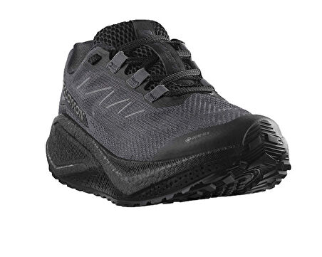 Salomon Aero Blaze 3 Grvl Gore-Tex Kadın Outdoor Koşu Ayakkabısı L47976700 Siyah