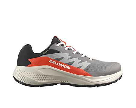 Salomon Alphaglide Gore-Tex Erkek Outdoor Koşu Ayakkabısı L47975300 Gri