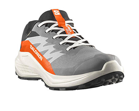 Salomon Alphaglide Gore-Tex Erkek Outdoor Koşu Ayakkabısı L47975300 Gri