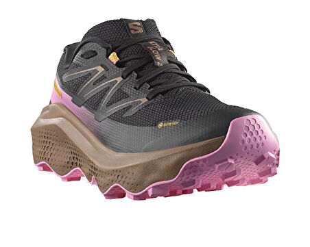 Salomon Ultra Flow 2 Gtx Kadın Outdoor Koşu Ayakkabısı L47884400 Siyah