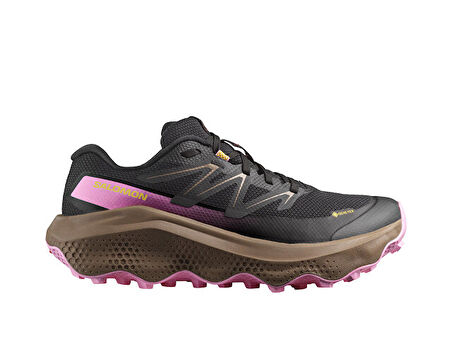 Salomon Ultra Flow 2 Gtx Kadın Outdoor Koşu Ayakkabısı L47884400 Siyah