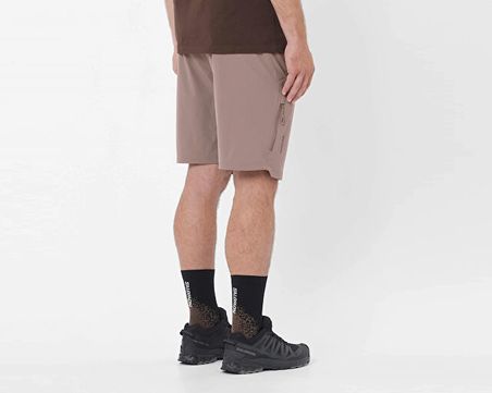 Salomon WAYFARER 2.0 Erkek Outdoor Şortu LC2747000 Kahverengi