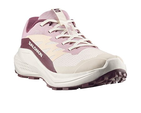 Salomon Alphaglide W Kadın Outdoor Koşu AyakkabısıL49092800 Pembe