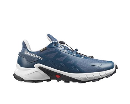 Salomon Supercross 4 Gtx Erkek Arazi Tipi Koşu Ayakkabısı L45447400 Mor