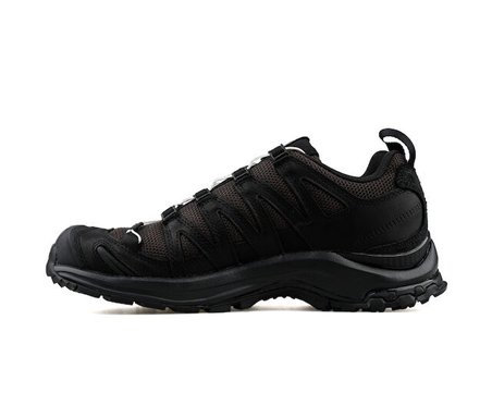 Salomon XA PRO 3D ALPINE ECHOES Erkek Outdoor Ayakkabısı L49187300 Siyah