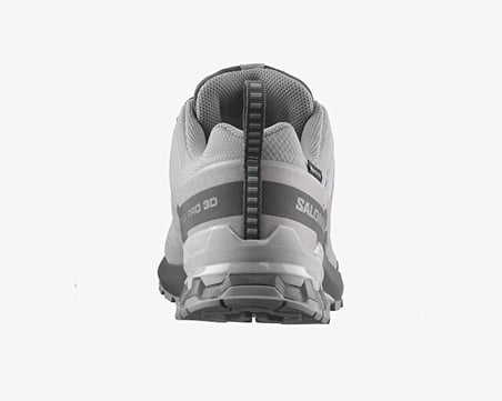 Salomon XA PRO 3D V9 GTX Erkek Outdoor Ayakkabısı L49199100 Gri